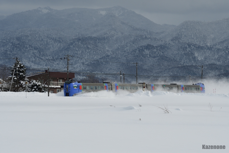 72D ���}�I�z�[�c�N�Q��