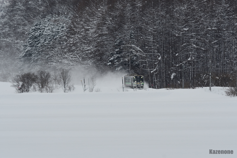 4528D ���ʗ��