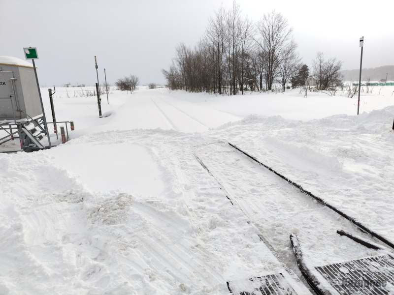 �@�J�{�� ��z�`�����Ԃ̐ϐ��