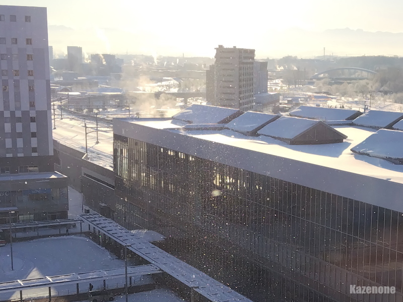 ���̎����A�{���̕��i