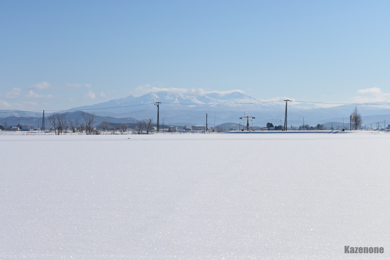 �~�̑��R���Y�킾�Ȃ�(��ͥ)