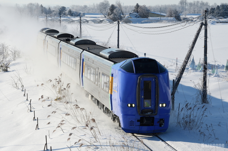 51D ���}�@�J