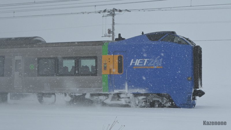 51D ���}�@�J