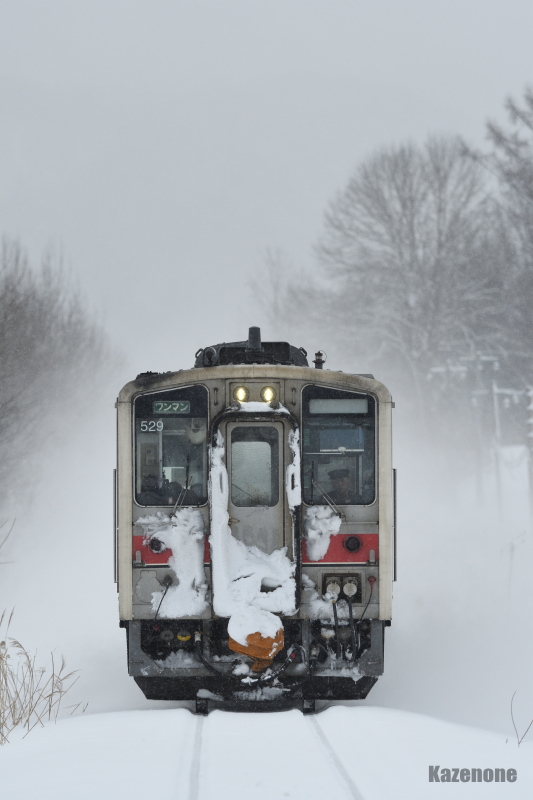 2476D ���ʗ��