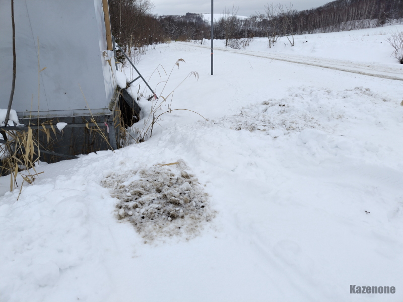 �h�v���b�h�ƏL���˂�(�~_�~)