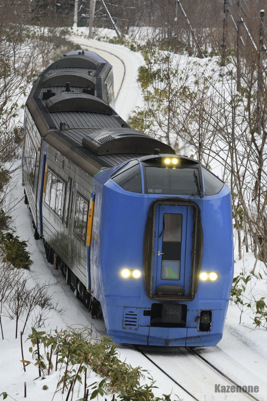 61D ���}�T���x�c�P��