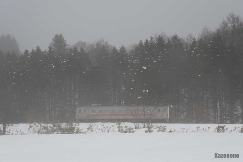 4324D ���ʗ��