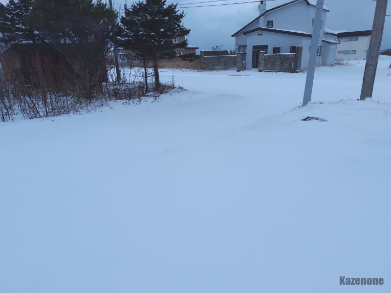 ���̎����A�{���̕��i