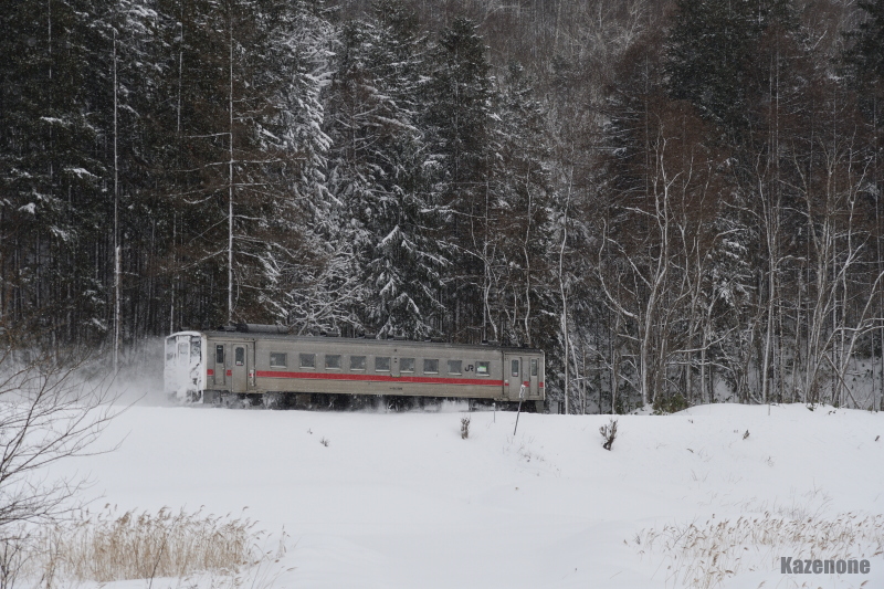 4326D ���ʗ��