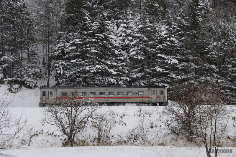 4326D ���ʗ��