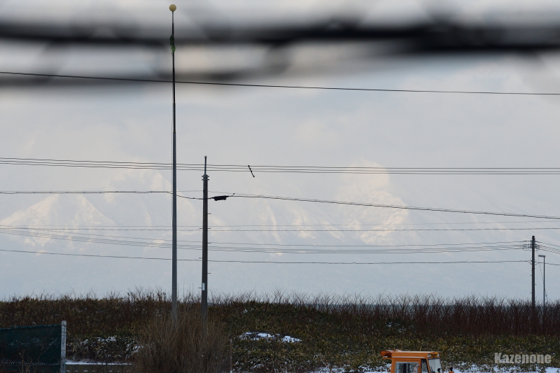 �s���S�`�Ԃł����x�m(^^)