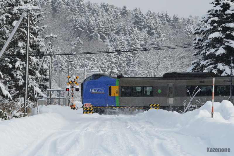 51D ���}�@�J