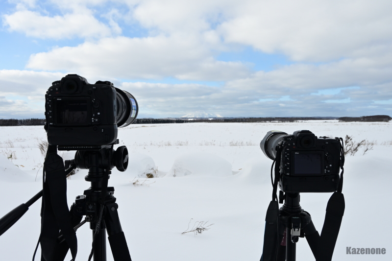 �������Ɍ�����̂͌��ɐ���Ȃ̂�