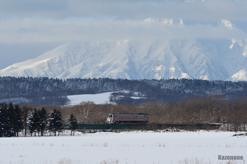 4325D ���ʗ��