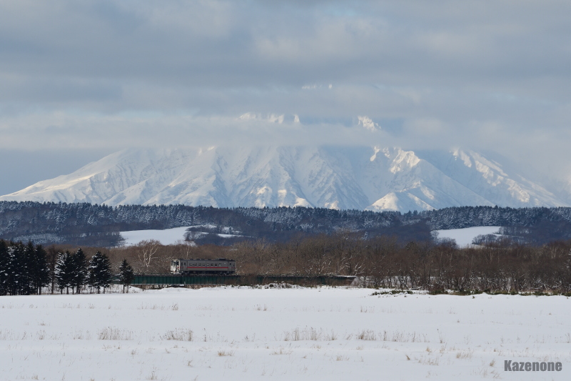 4325D ���ʗ��