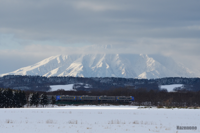 51D ���}�@�J