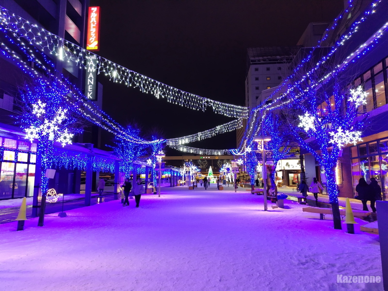 ���� ���������ʂ�