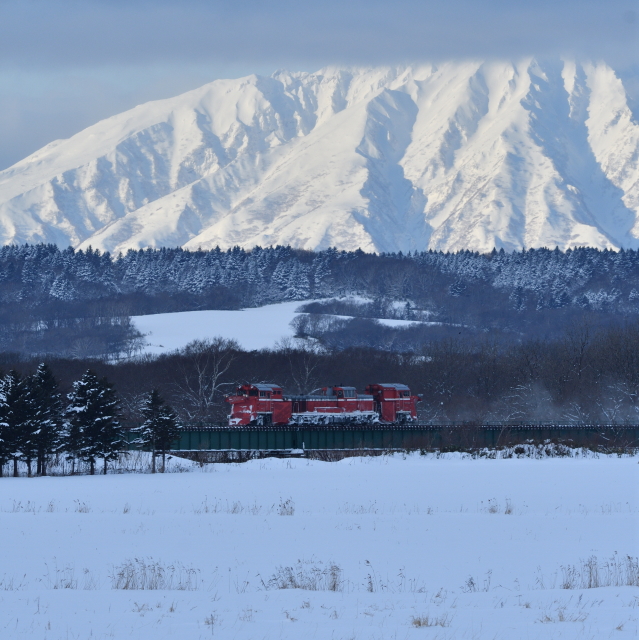 �w���������Ȃ��x���ґ�������Ă͂����Ȃ�